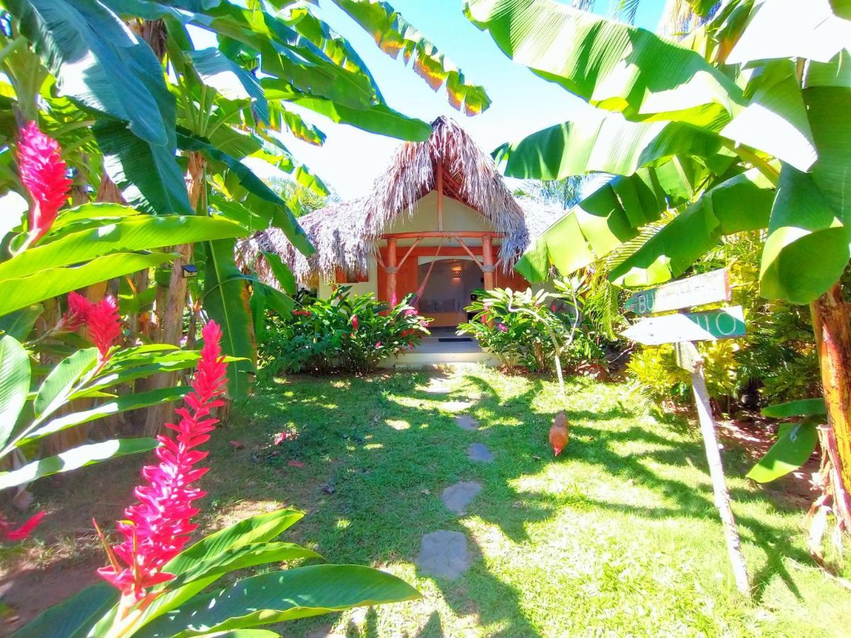 Casa Picaflor Bed & Breakfast Las Terrenas Exterior photo